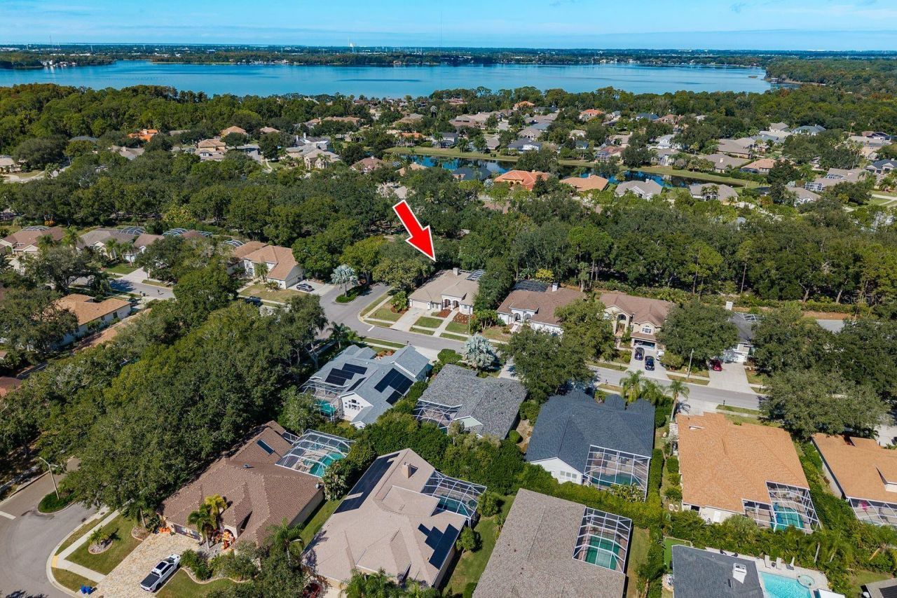 5264 Karlsburg Place, Palm Harbor, FL 34685 Photo
