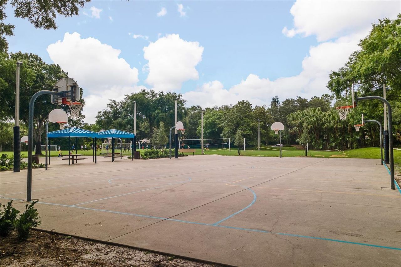 5264 Karlsburg Place, Palm Harbor, FL 34685 Photo