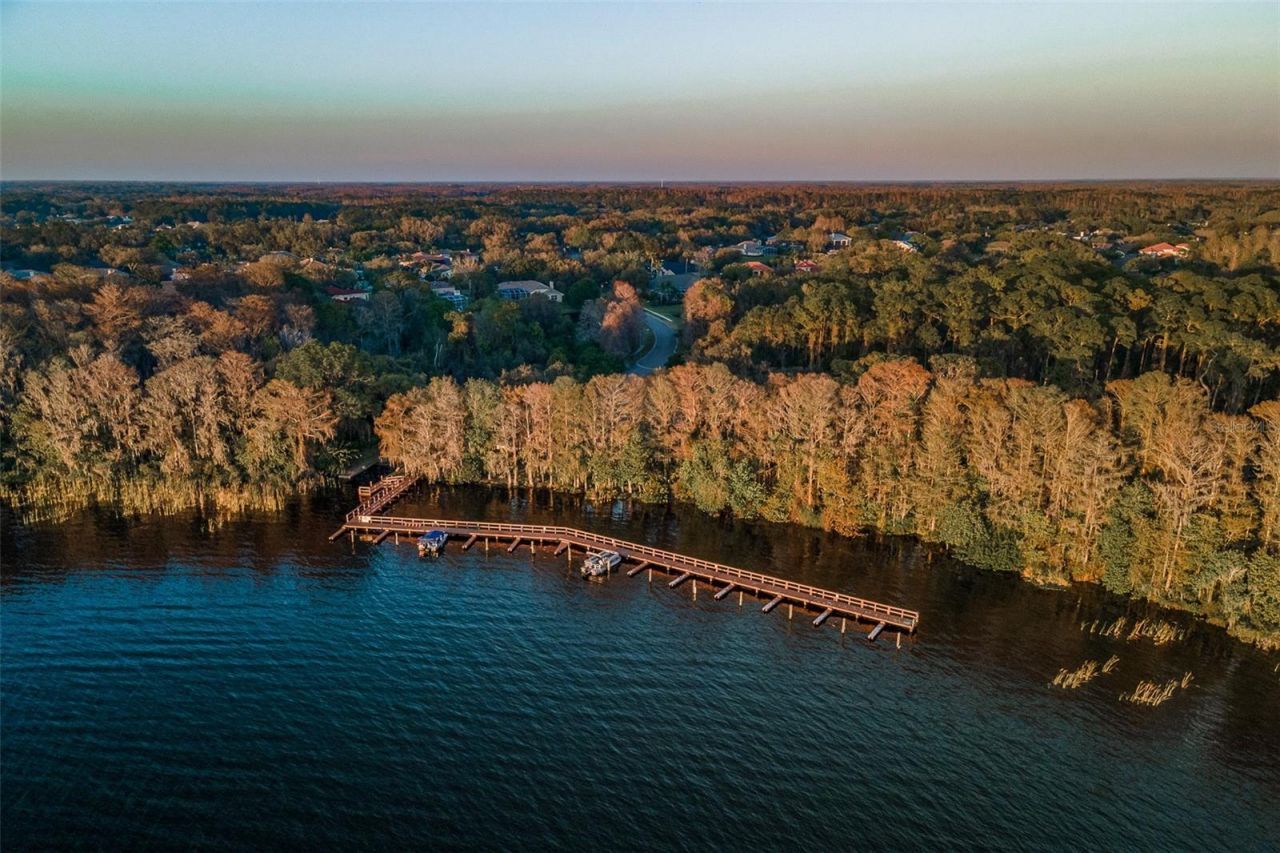 5264 Karlsburg Place, Palm Harbor, FL 34685 Photo