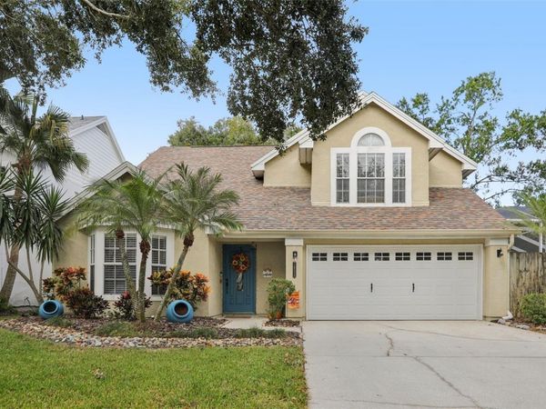 14534 NETTLE CREEK ROAD, TAMPA, FL 33624