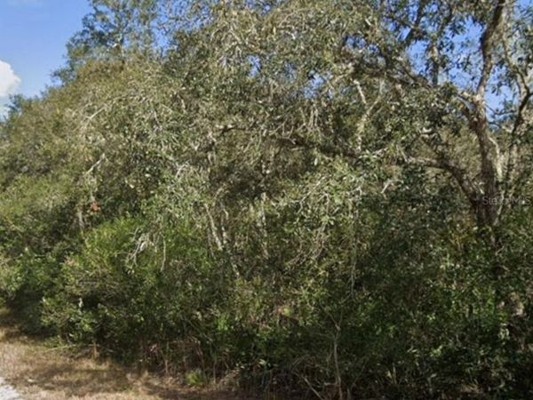 00 LITTLE STONE DRIVE, WEBSTER, FL 33597