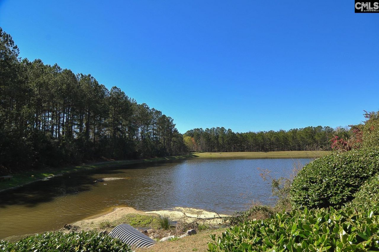 416 Buckthorne Road Photo 32