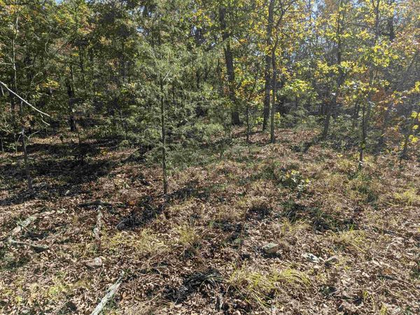 TBD Dearborn Ln, Salem, AR 72576