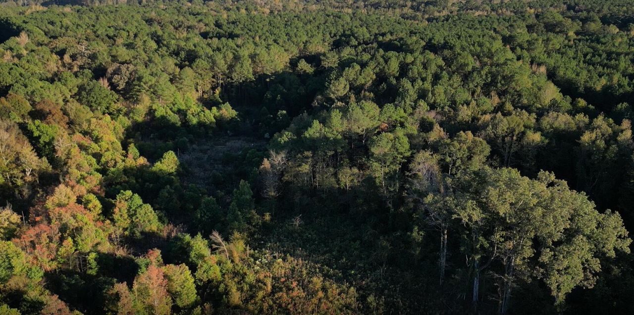 Smith Rd, Sturgis, MS 39769 Main Photo