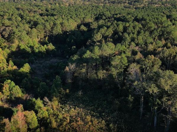 Smith Rd, Sturgis, MS 39769