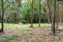 220 Courtland Road photo 4