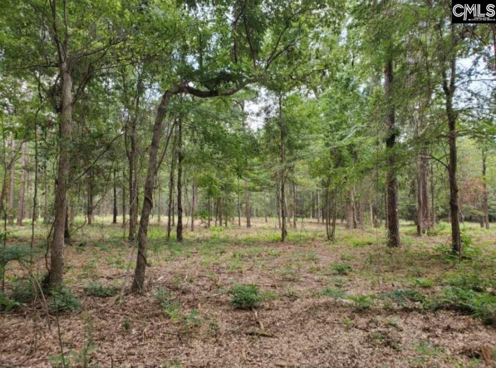 220 Courtland Road Photo 4