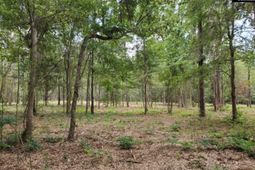 220 Courtland Road photo 4