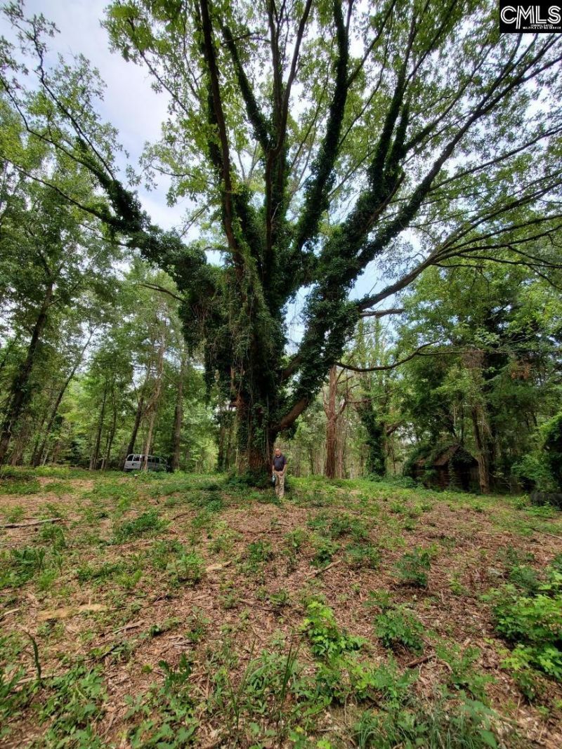 220 Courtland Road Photo 5