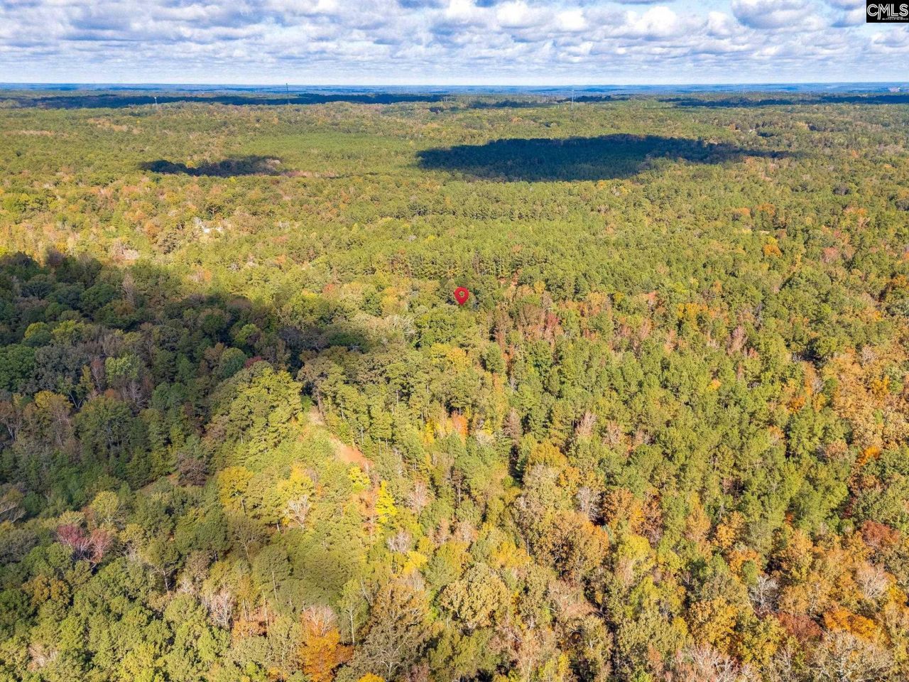 220 Courtland Road Photo 9