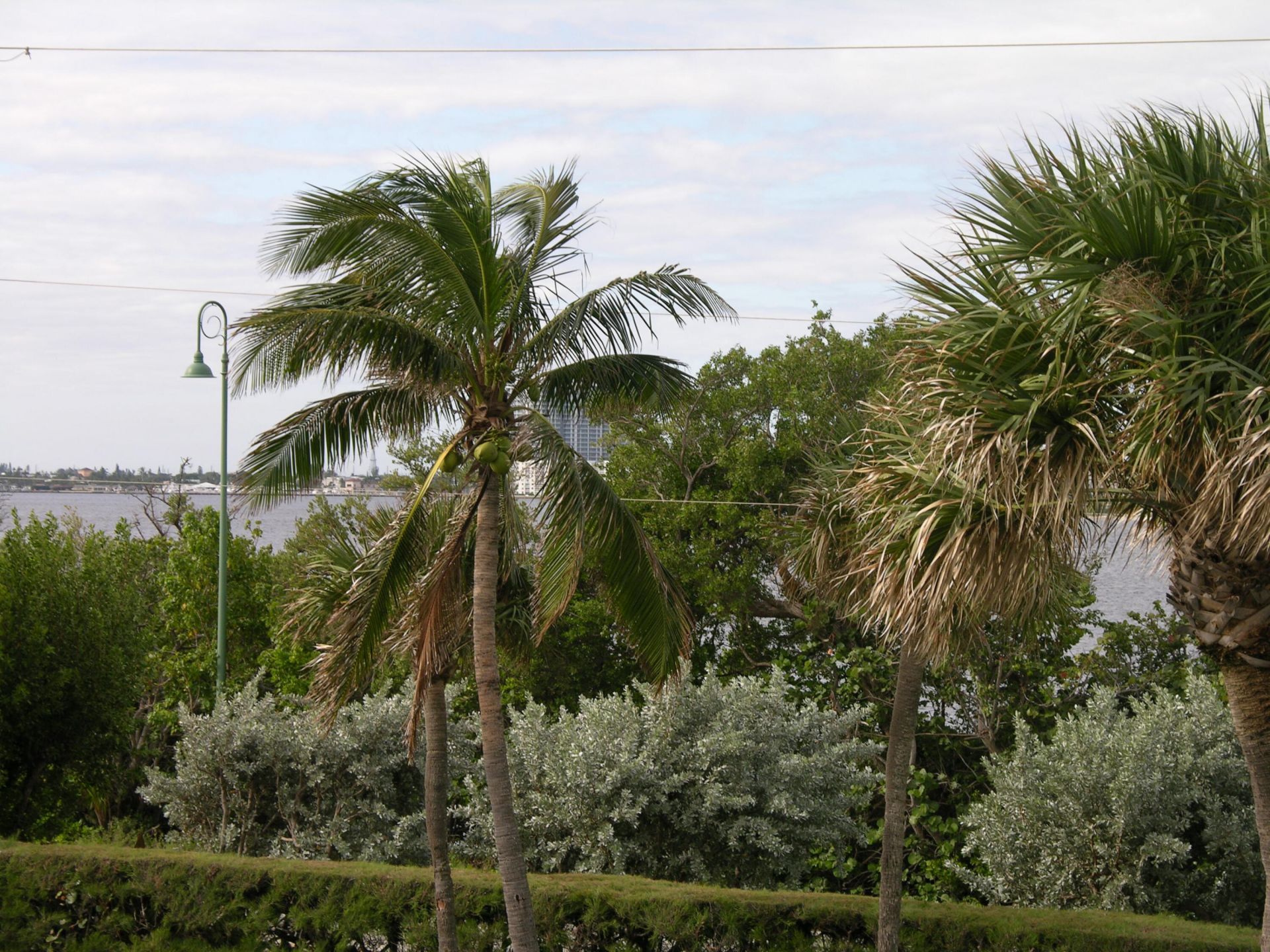 5550 N Ocean Drive, Unit 2b, Singer Island, FL 33404 Photo