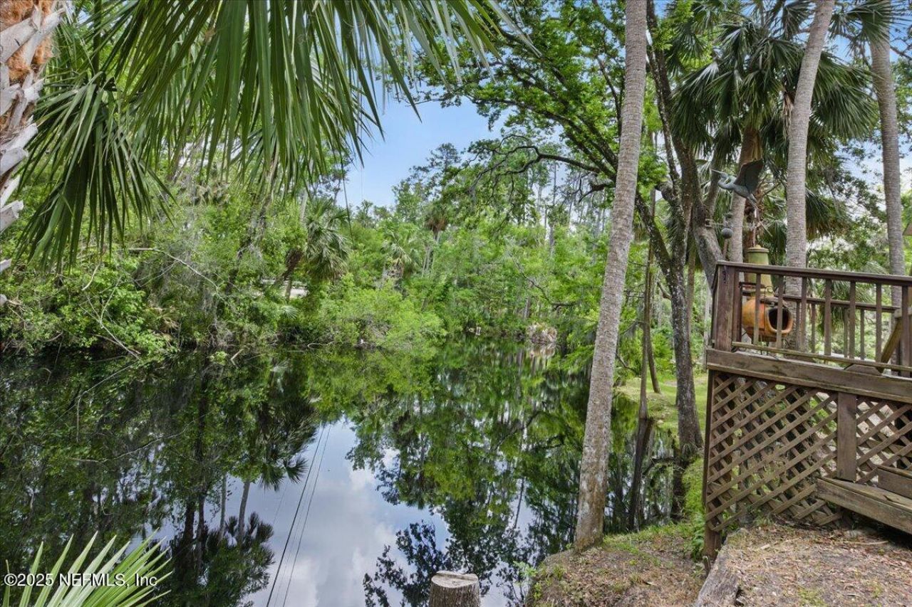 1418 Palm Street Ne, Steinhatchee, FL 32359 Photo