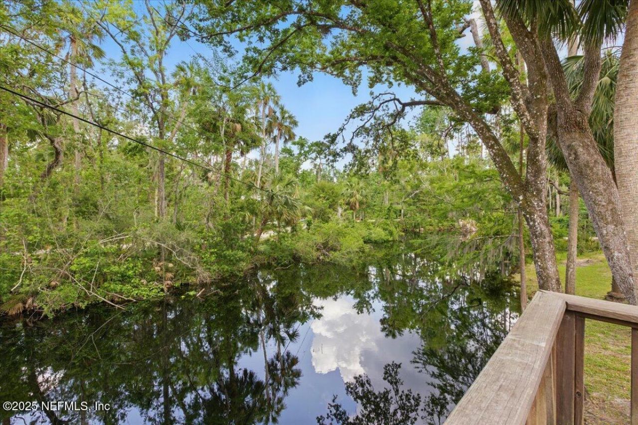 1418 Palm Street Ne, Steinhatchee, FL 32359 Photo