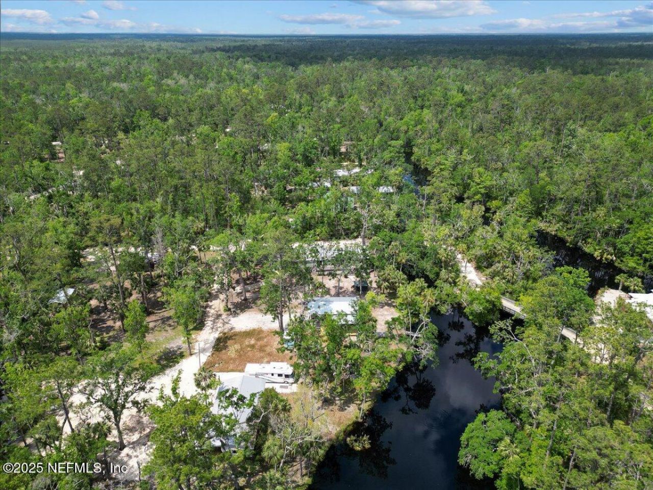 1418 Palm Street Ne, Steinhatchee, FL 32359 Photo