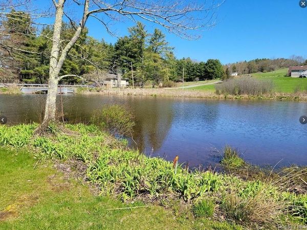 601 Briscoe Road, Bethel, NY 12783