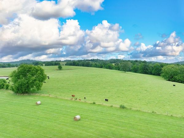 6 Deshea Creek Rd, Gallatin, TN 37066