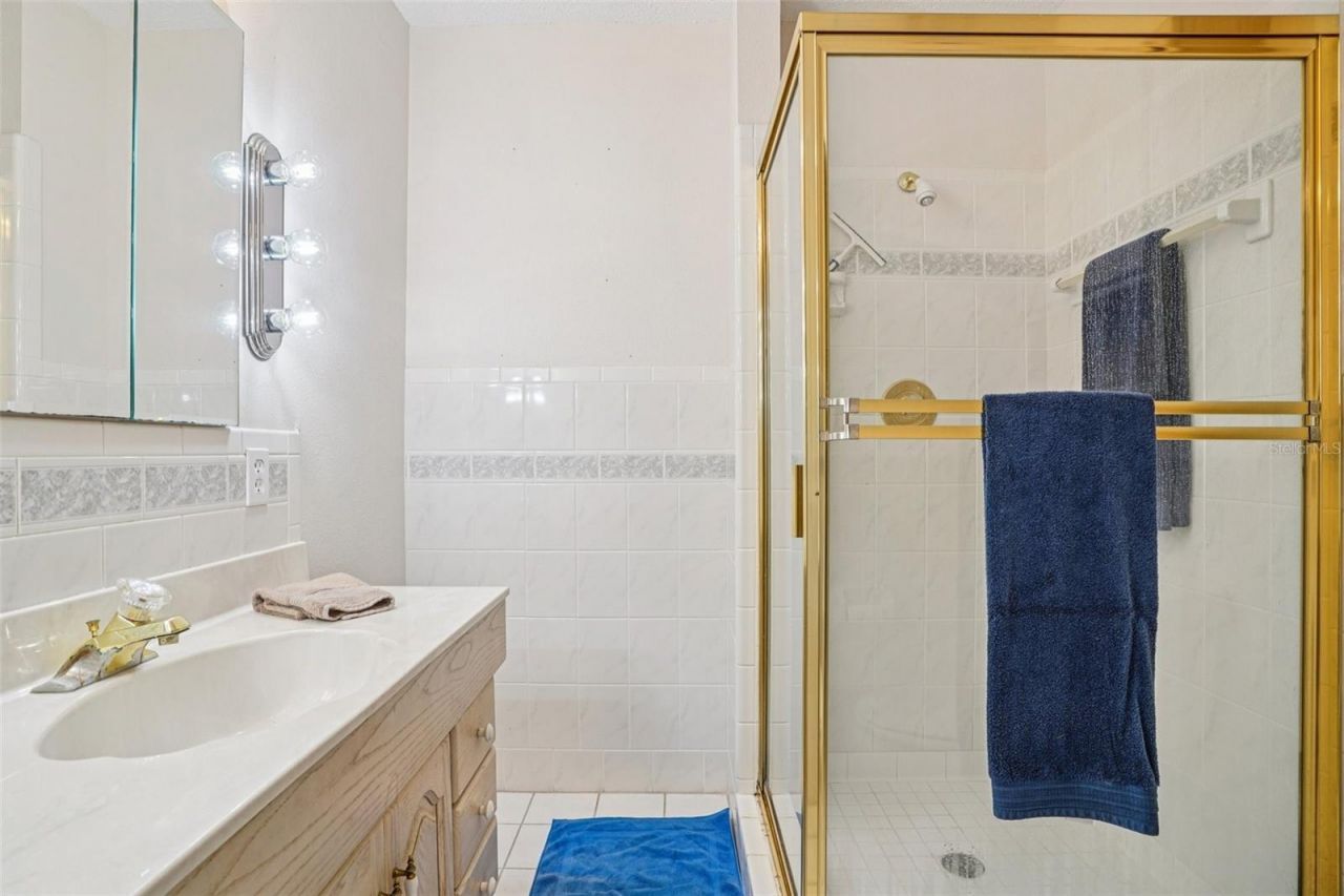 33651 Overton Drive, Leesburg, FL 34788 Photo