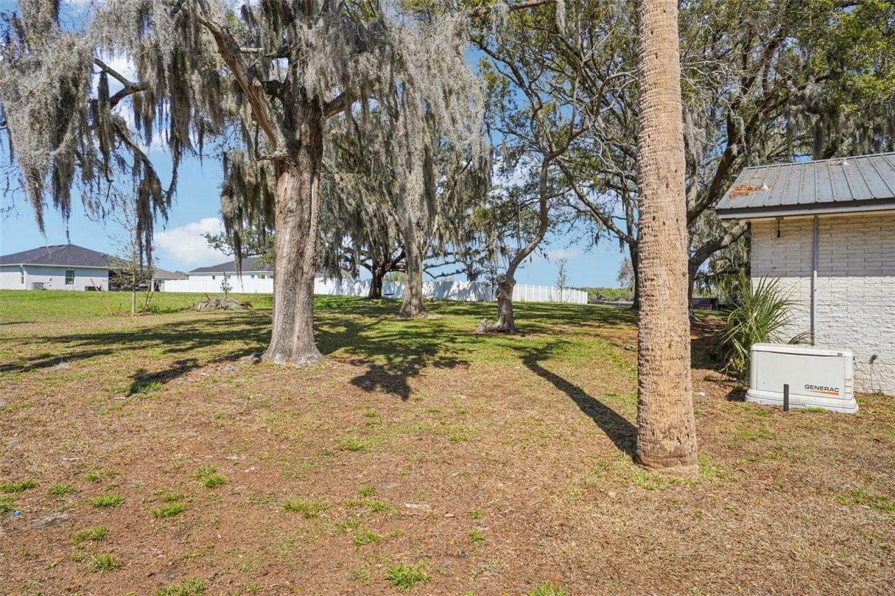 33651 Overton Drive, Leesburg, FL 34788 Photo