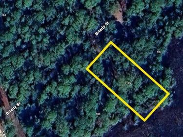 105 BRIERLY STREET, GEORGETOWN, FL 32139