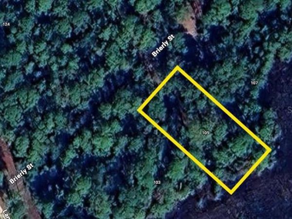 105 BRIERLY STREET, GEORGETOWN, FL 32139