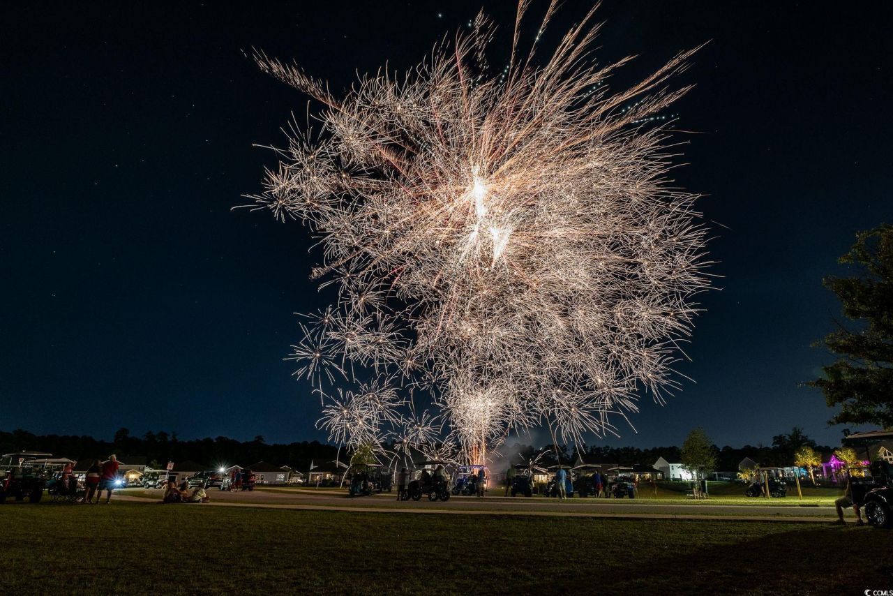 2595 Orion Loop Photo 35