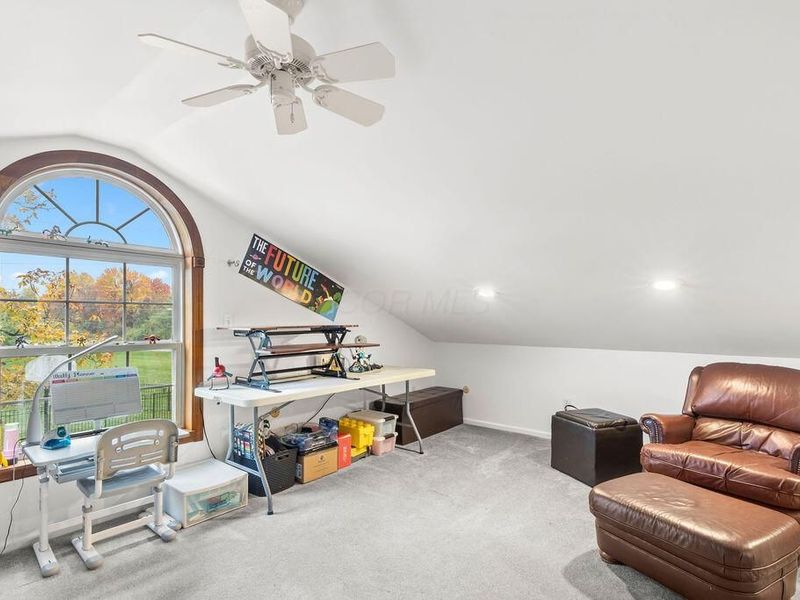 3765 Africa Road, Galena, OH 43021 Photo 39