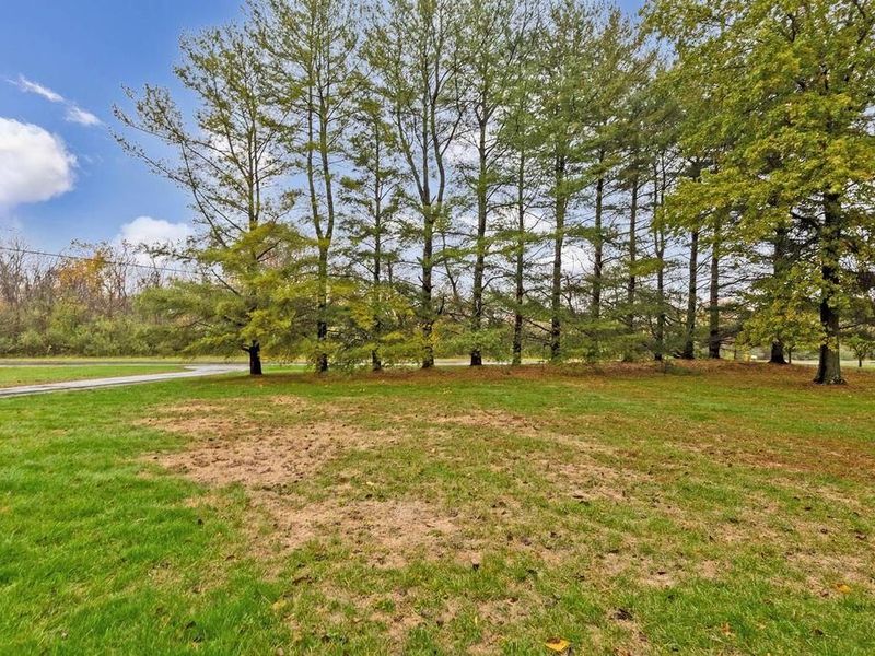 3765 Africa Road, Galena, OH 43021 Photo 59