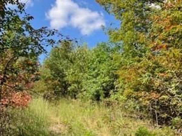 10 Church Road (CR 114), Annapolis, MO 63620