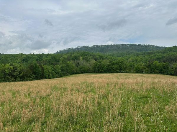 235 Allison Hill Road, Pikeville, TN 37367