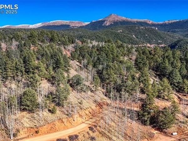 741 Pikes Peak Drive, Divide, CO 80814