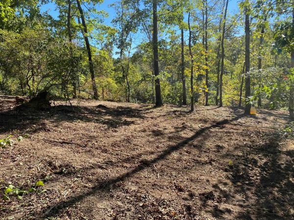 HUGHES RD, Henderson, TN 38340