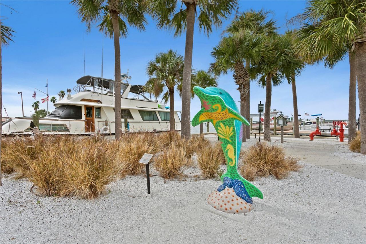 1964 Cedar Drive, Dunedin, FL 34698 Photo