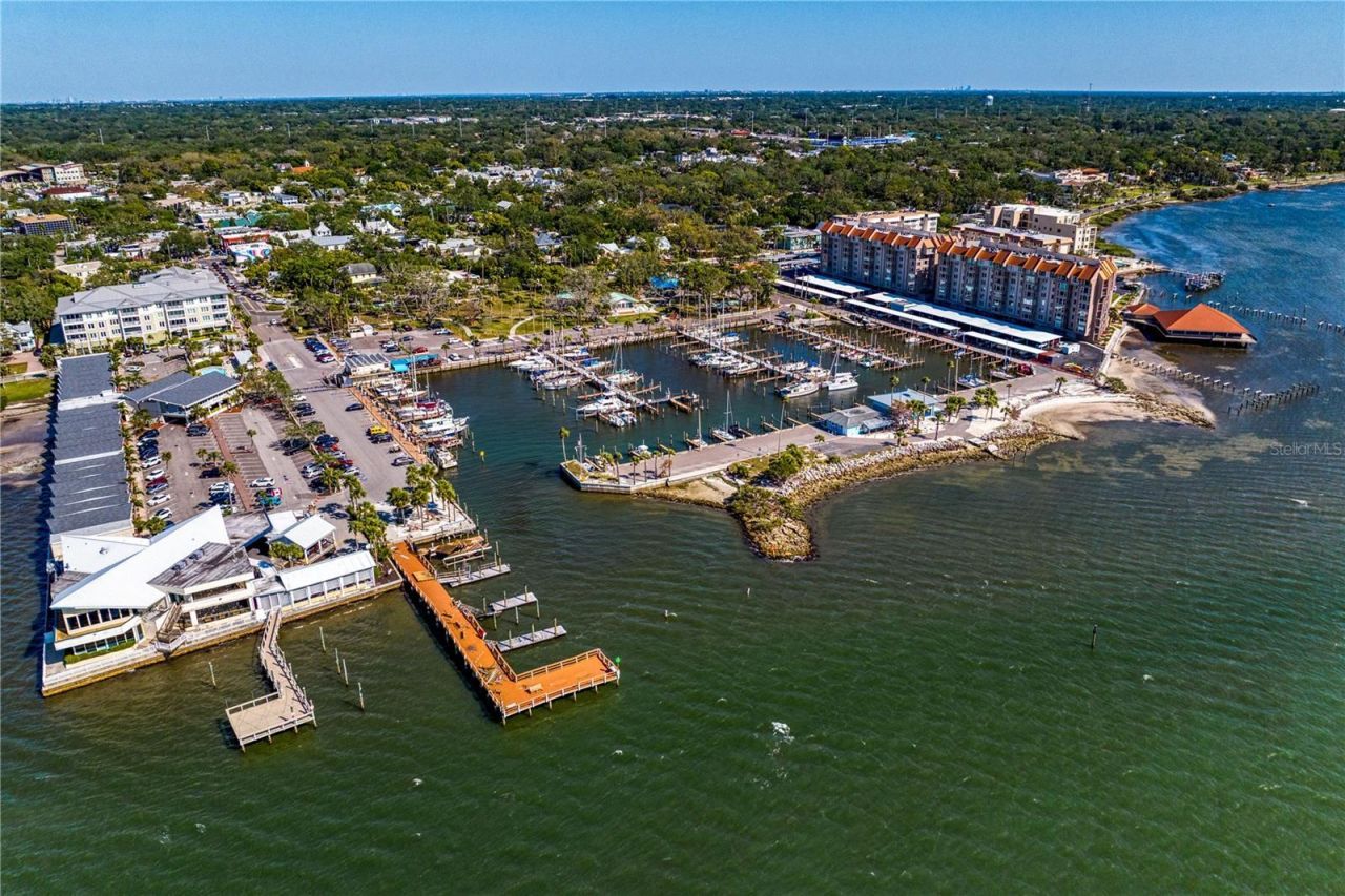 1964 Cedar Drive, Dunedin, FL 34698 Photo