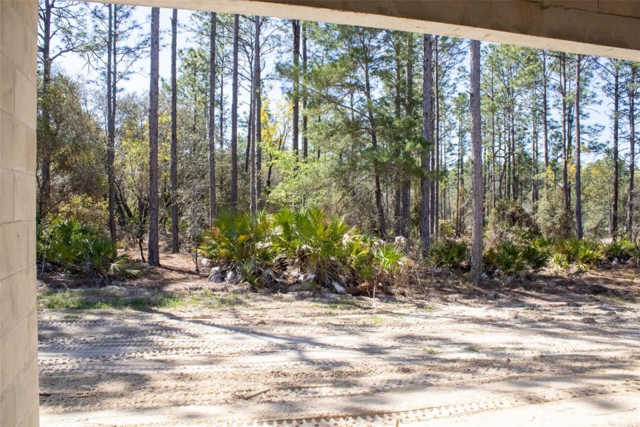 6412 W El Dorado Lane, Beverly Hills, FL 34465 Photo