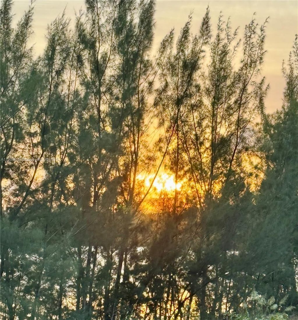 8650 NW 97th Ave, Unit 204, Doral, FL 33178 Photo