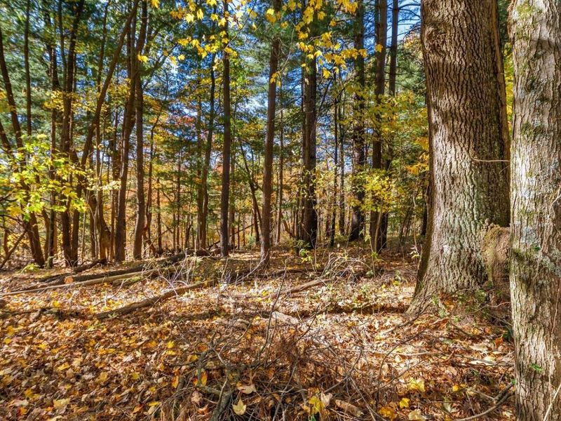 18384 Crawmer Road SE, Heath, OH 43056 Photo 32