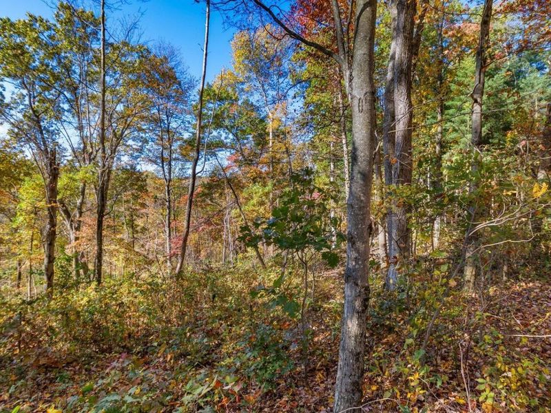 18384 Crawmer Road SE, Heath, OH 43056 Photo 33