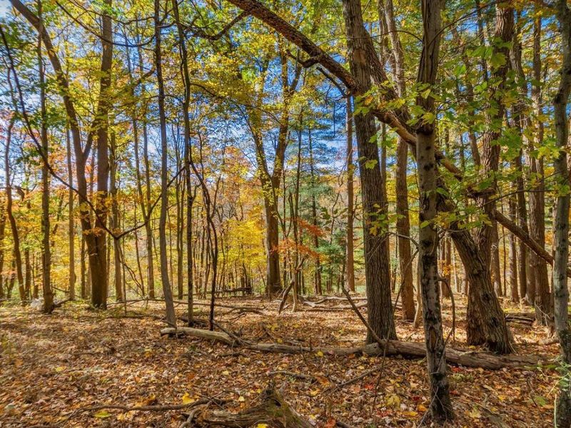 18384 Crawmer Road SE, Heath, OH 43056 Photo 35