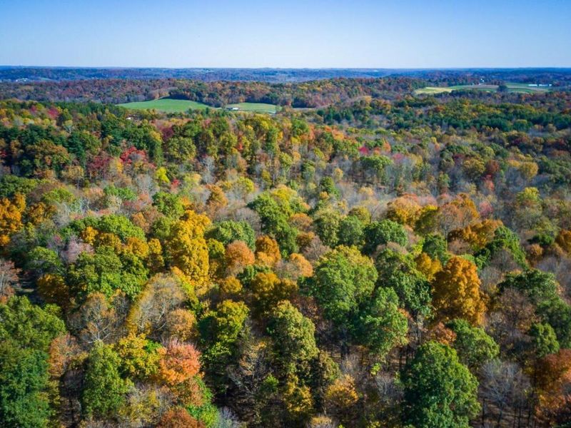 18384 Crawmer Road SE, Heath, OH 43056 Photo 46