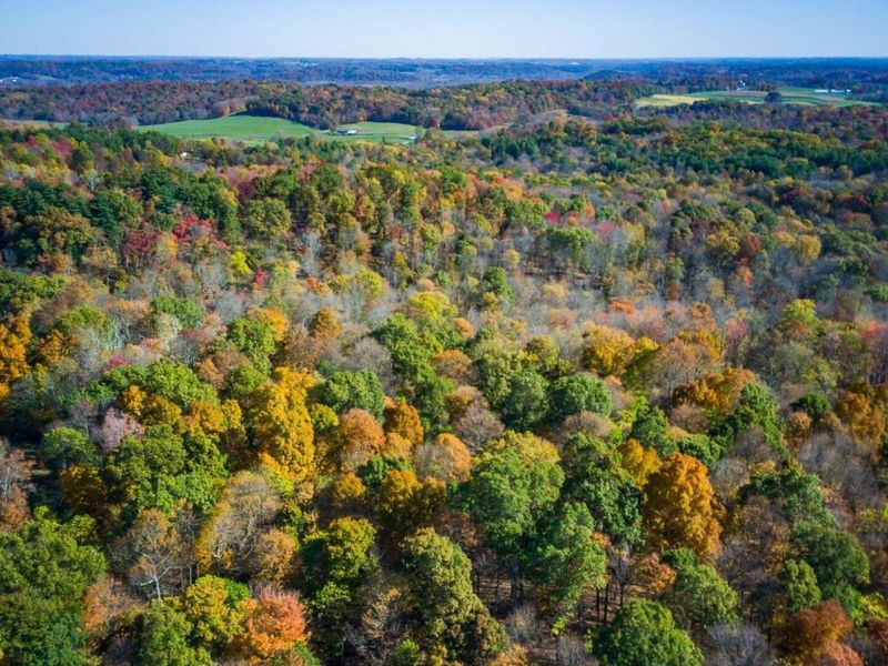 18384 Crawmer Road SE, Heath, OH 43056 Photo 47