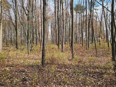 417 Stocks Road, Owego, NY 13827