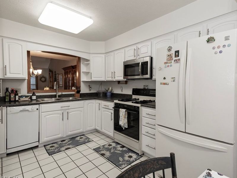 124 Oakley Green Drive, Elyria, OH 44035 Photo 7