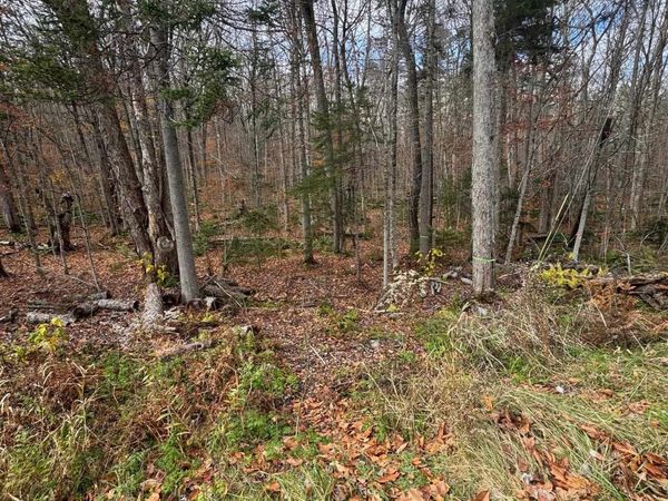 00 Hawk Spur Road, Plymouth, VT 05056