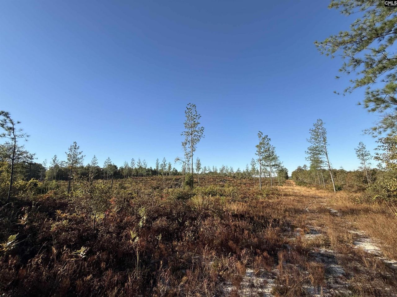 Fairview Road Photo 10