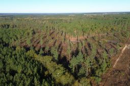 Fairview Road photo 4