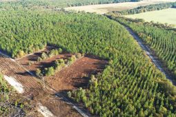 Fairview Road photo 4