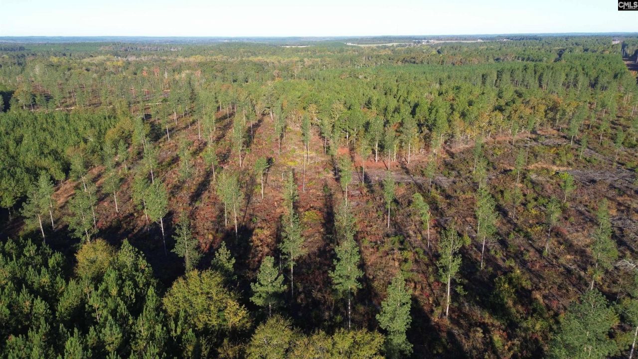 Fairview Road Photo 4