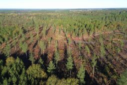 Fairview Road photo 4