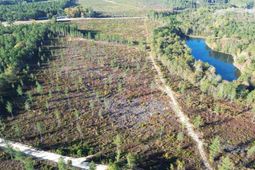 Fairview Road photo 4