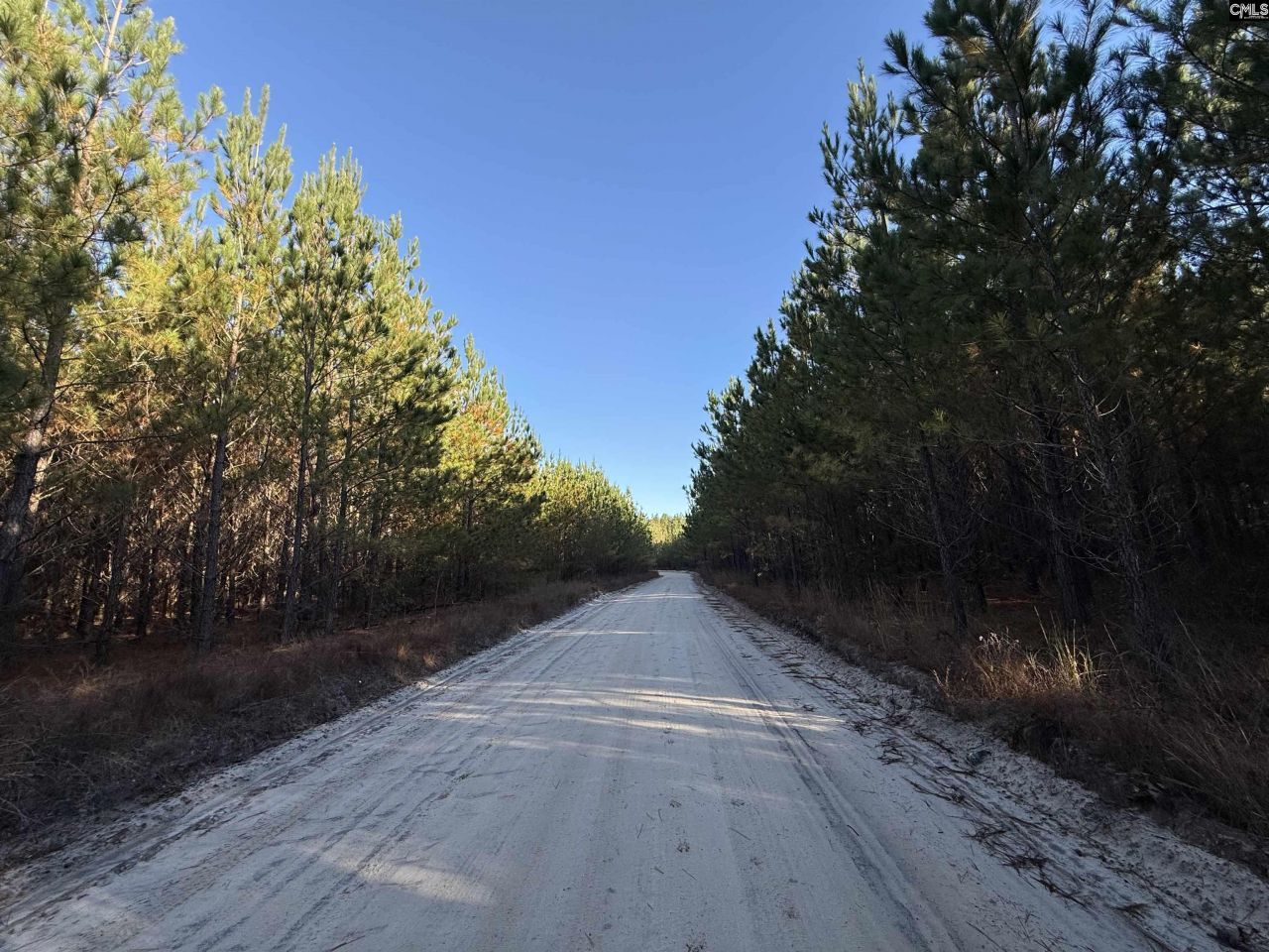 Fairview Road Photo 7